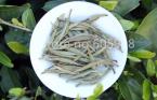 2015 Nonpareil Fuding Bai Hao Yin Zhen White Tea  Bai Hao Silver Needle  25g